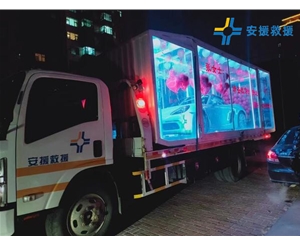 透明箱車拖運(yùn)